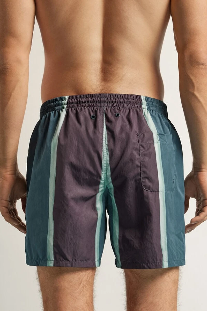Macro Stripe Print Swim Trunks