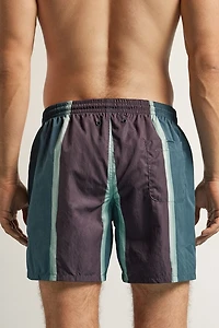 Macro Stripe Print Swim Trunks