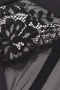 Sheer Glamour Garter Belt