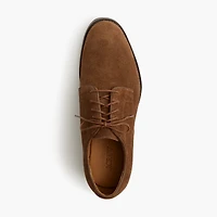 Suede lace-up dress shoes