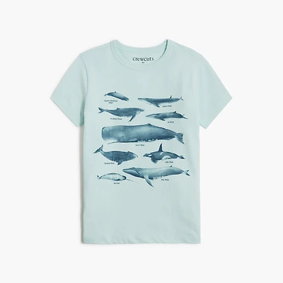 Boys' whale graphic tee