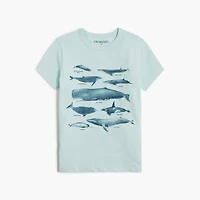 Boys' whale graphic tee