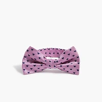 Boys' heart bow tie
