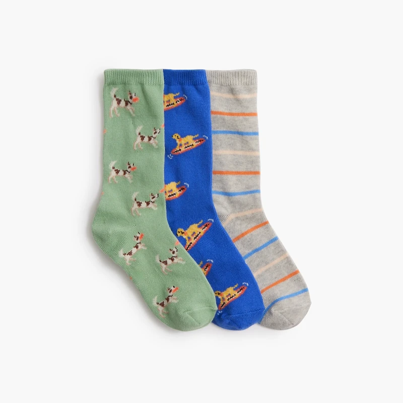Boys' dog trouser socks