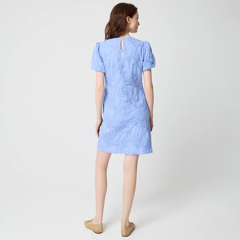 Embroidered puff-sleeve mini dress
