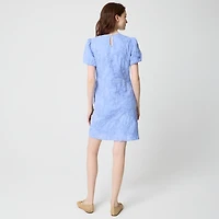 Embroidered puff-sleeve mini dress