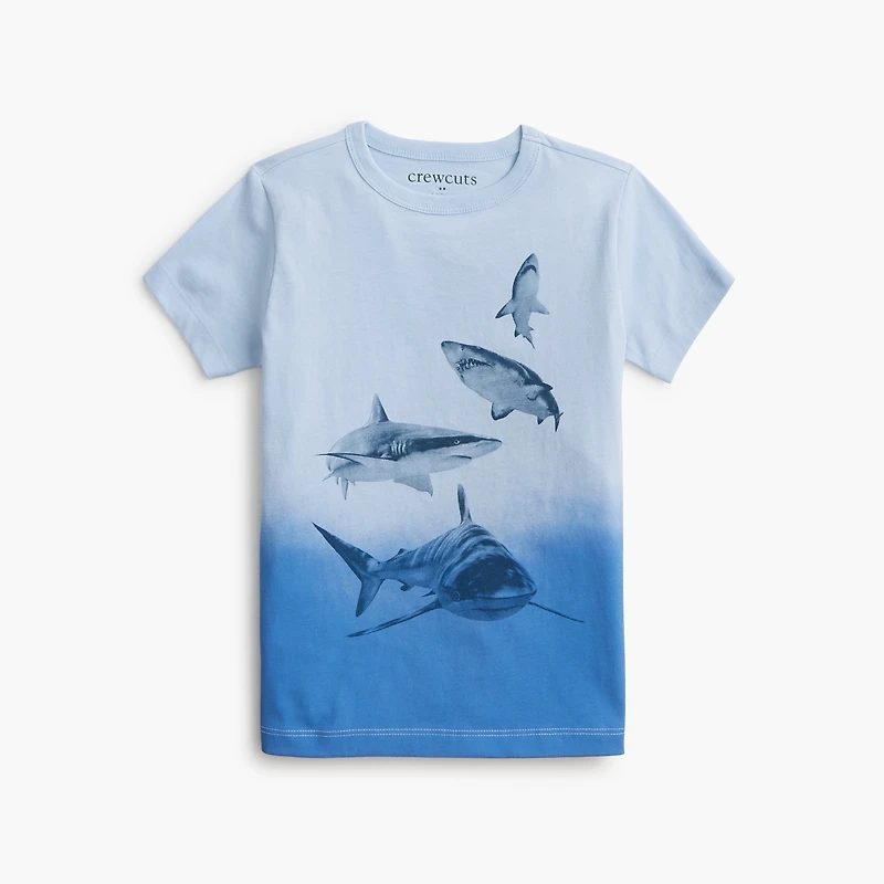 Boys' shark graphic tee