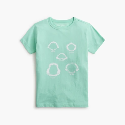 Boys' shark jaw graphic tee