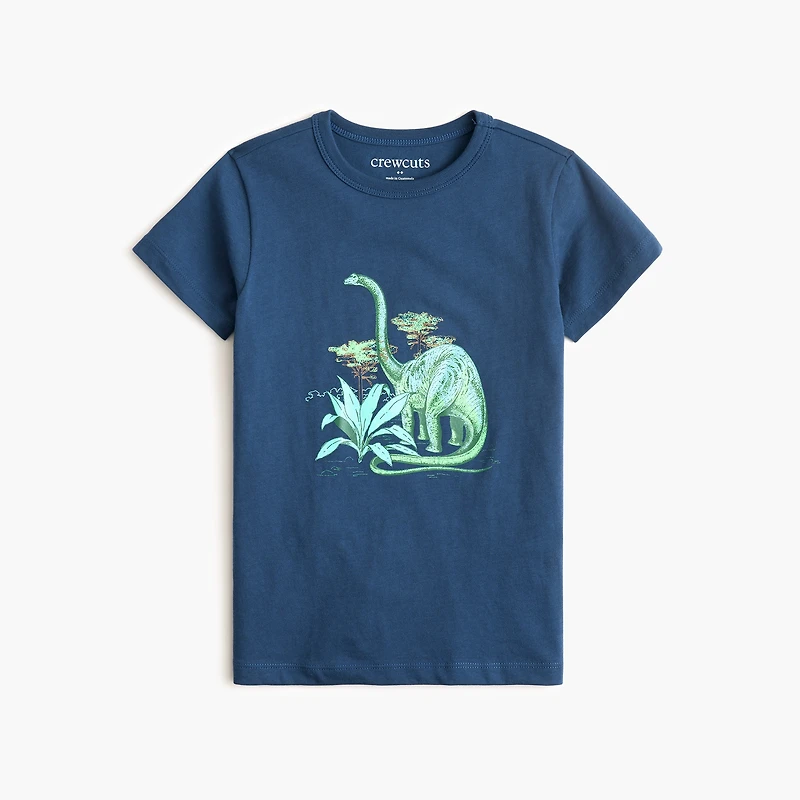 Boys' dinosaur graphic tee