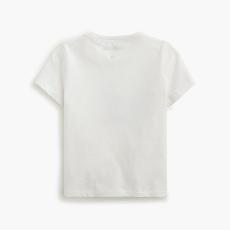 Baby & toddler boys' surfing dinosaur graphic tee