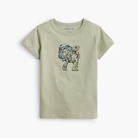 Boys' hiking turtle graphic tee