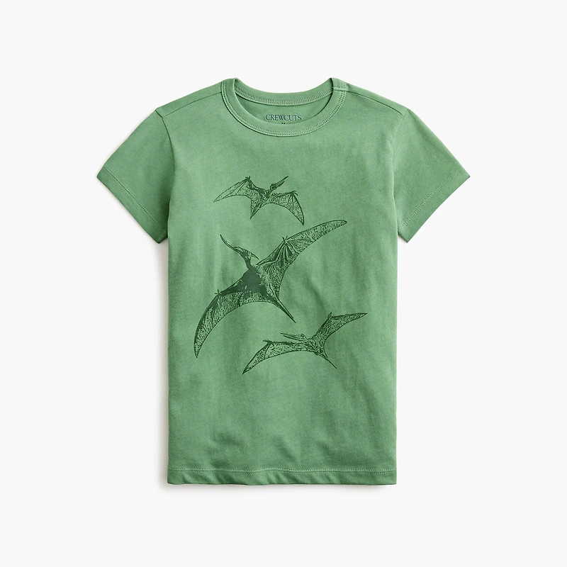 Boys' flying dinosaurs graphic tee