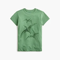 Boys' flying dinosaurs graphic tee