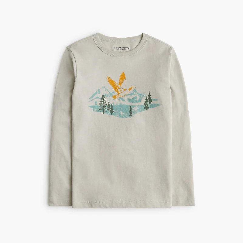Boys' flying duck graphic tee