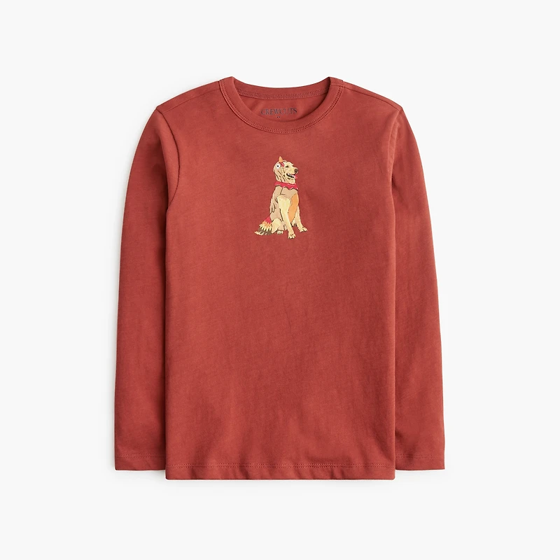 Boys' dog turkey costume graphic tee