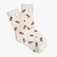 French bulldog in sweater trouser socks