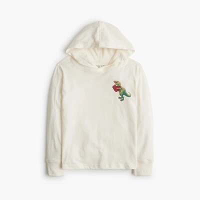 Boys' dinosaur graphic jersey hoodie