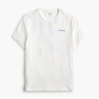 Ski mountain graphic tee