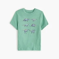 Boys' dinosaur graphic tee