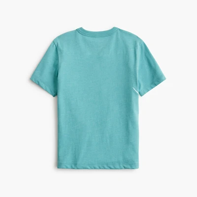 Boys' dinosaur skeleton graphic tee