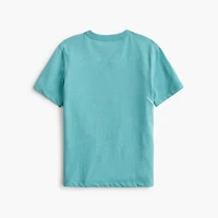 Boys' dinosaur skeleton graphic tee