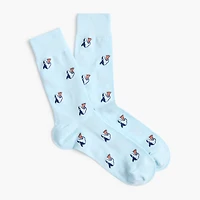 Shark eating pizza socks