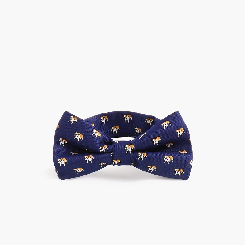 Boys' dogs bow tie
