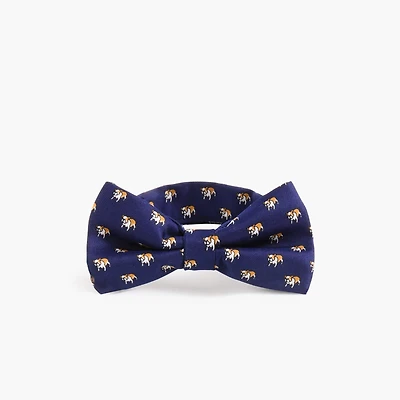Boys' dogs bow tie