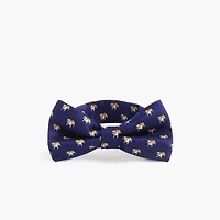 Boys' dogs bow tie
