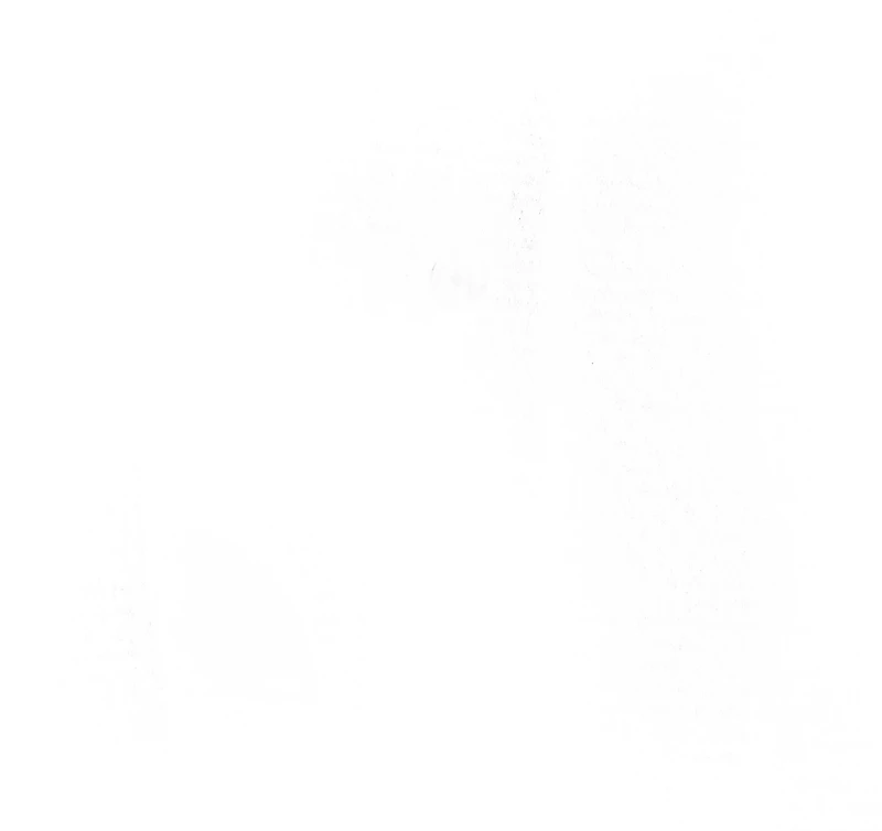 Brushed Button-Front Knit Shirt