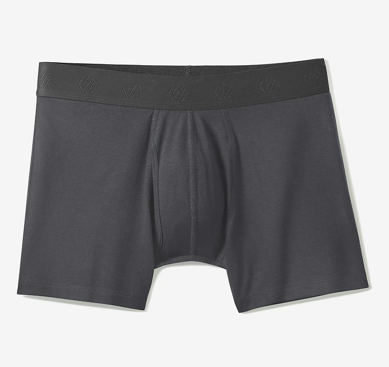 Essential Boxer Brief