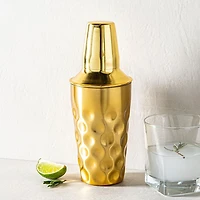 KSP Coin Cocktail Shaker 16oz. (Brushed Gold)