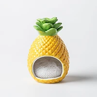 Boston Warehouse Scrubby 'Pineapple' Ceramic Scrubby Holder