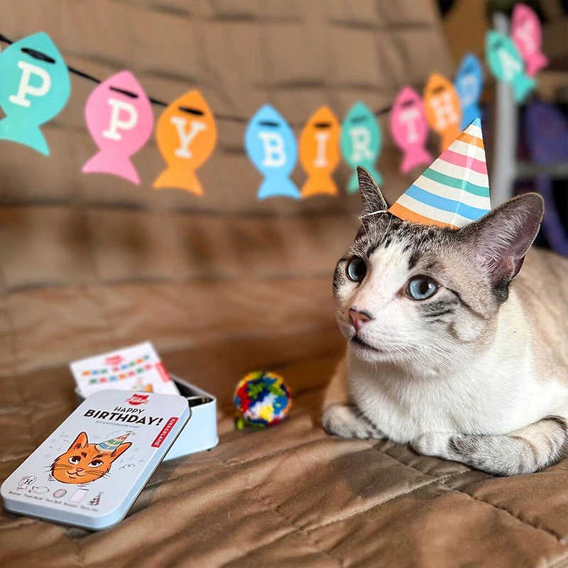 Kikkerland Tin 'Kiko' Happy Birthday Cat