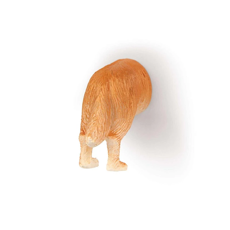 Kikkerland Funky 'Dog Butt' Magnet - Set of 6
