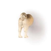 Kikkerland Funky 'Dog Butt' Magnet - Set of 6