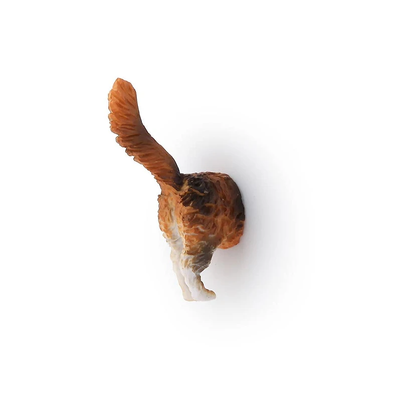Kikkerland Funky 'Cat Butt' Magnet - Set of 6