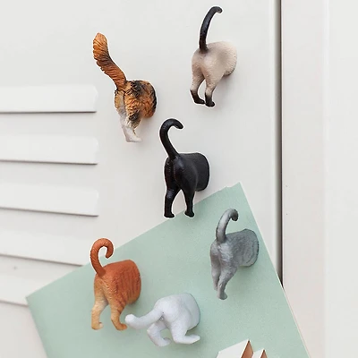 Kikkerland Funky 'Cat Butt' Magnet - Set of 6