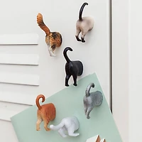 Kikkerland Funky 'Cat Butt' Magnet - Set of 6