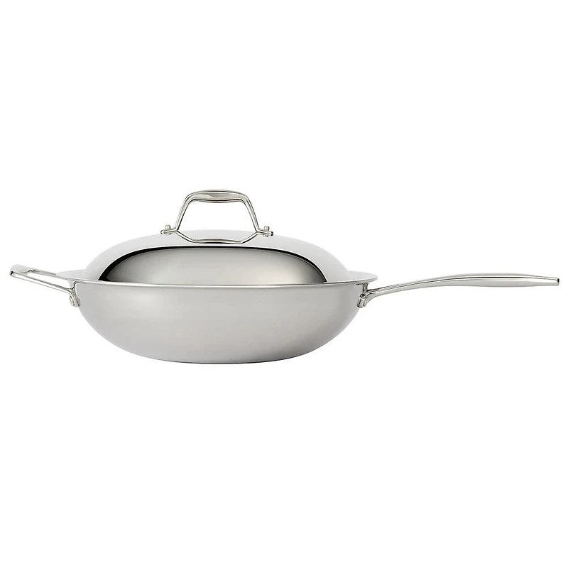 Tramontina Sea-Gourmet Wok with  Lid (Stainless Steel)