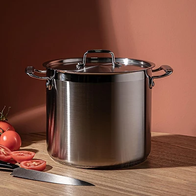 Tramontina Gourmet Stock Pot with Lid 11L (Stainless Steel)