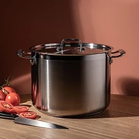 Tramontina Gourmet Stock Pot with Lid 15L (Stainless Steel)