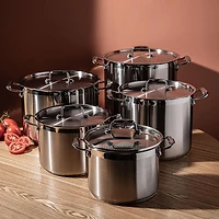 Tramontina Gourmet Stock Pot with Lid 15L (Stainless Steel)