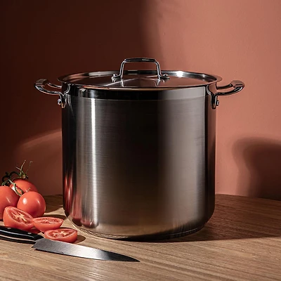 Tramontina Gourmet Stainless Steel Stock Pot with Lid 18.9L
