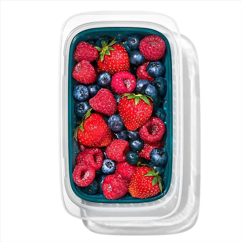 OXO Good Grips Prep & Go Food Storage Container with Lid (Clear/Green)