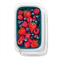 OXO Good Grips Prep & Go Food Storage Container with Lid (Clear/Green)