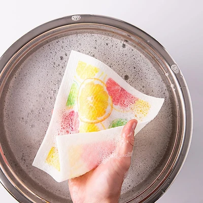 Harman 'Citrus' Reusable Sponge Cloth - Set of 10