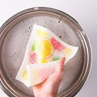 Harman 'Citrus' Reusable Sponge Cloth - Set of 10