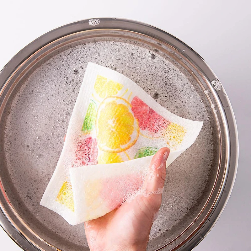 Harman 'Citrus' Reusable Sponge Cloth - Set of 10