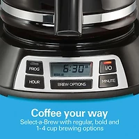 Hamilton Beach Programmable Coffee Maker (12 Cup)